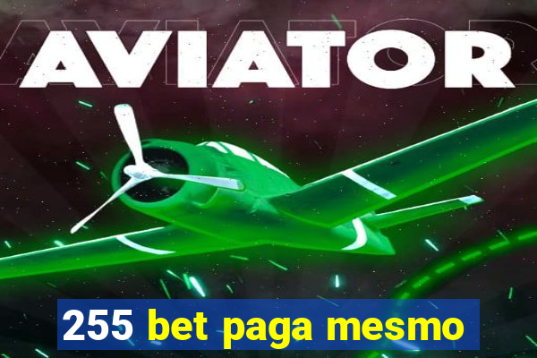 255 bet paga mesmo